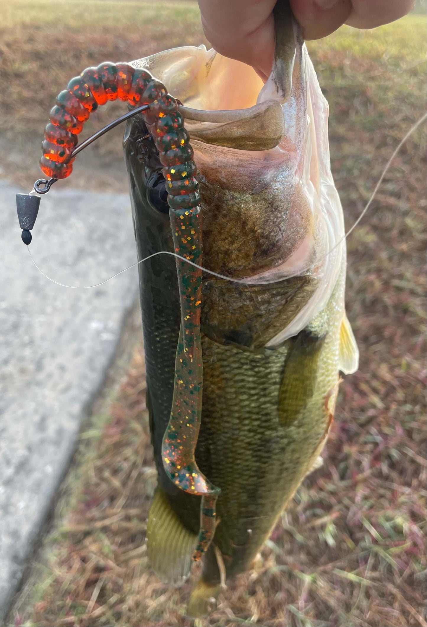 9" Ribbon Tail