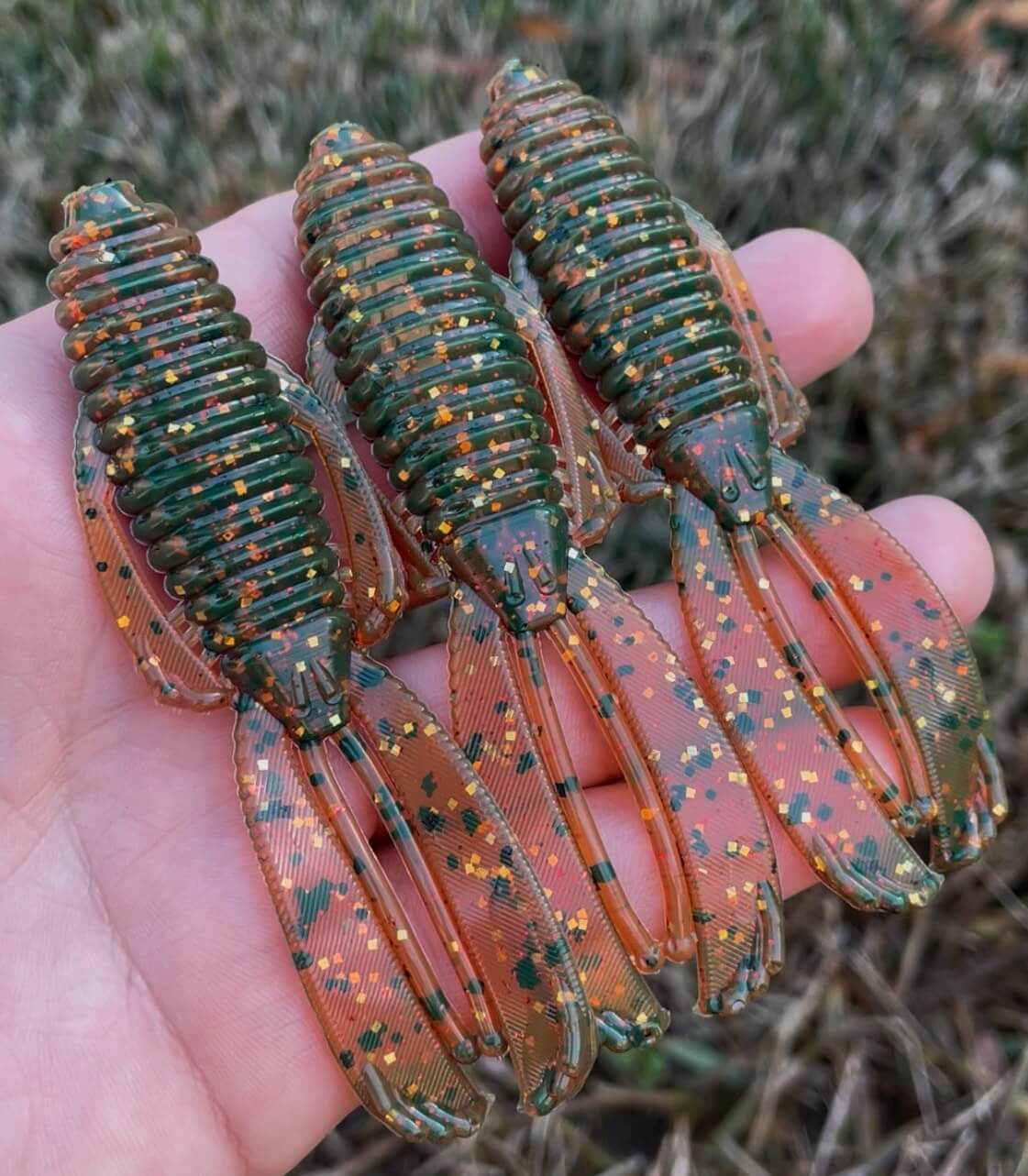 4" Bugs