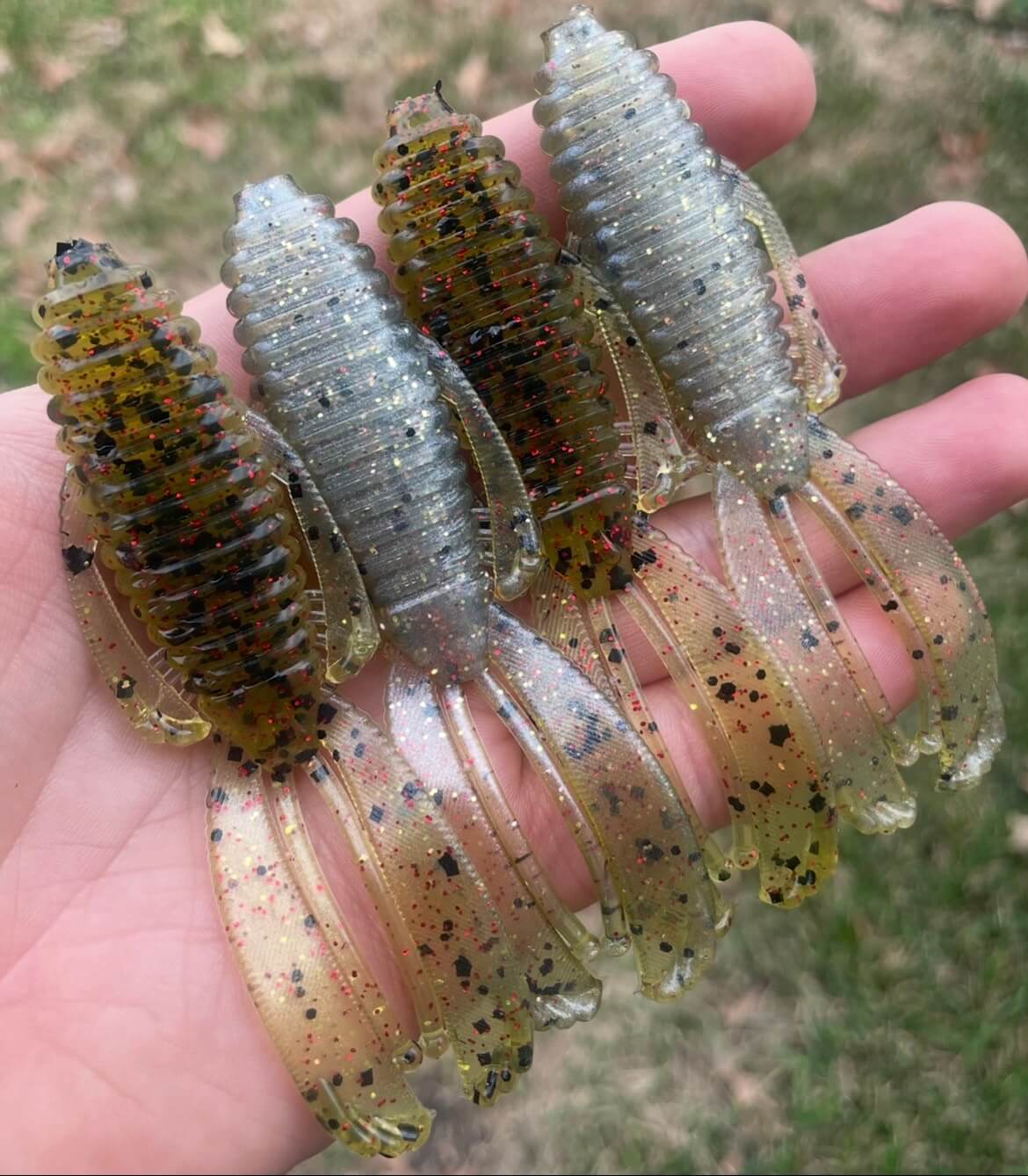 4" Bugs