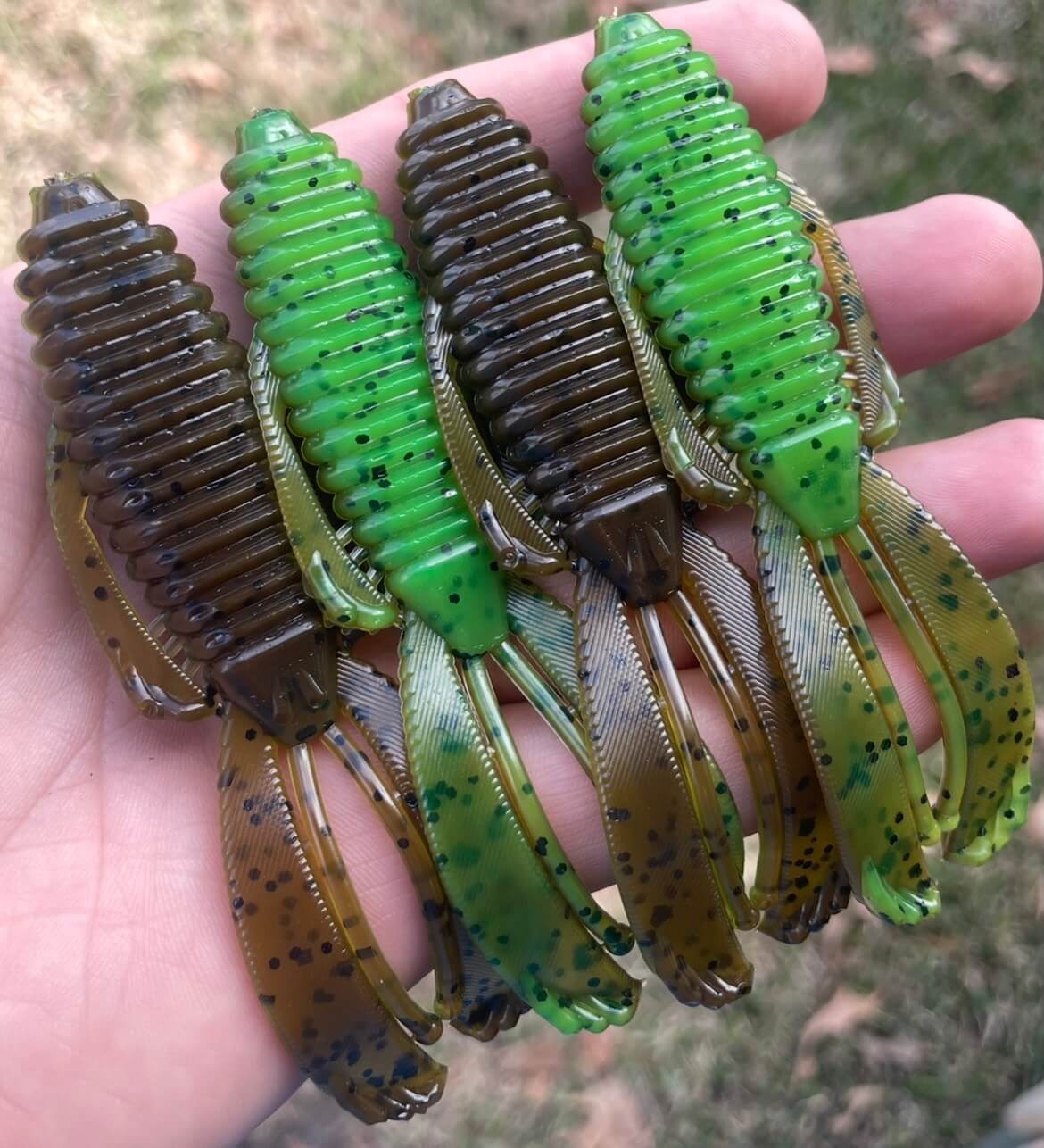 4" Bugs