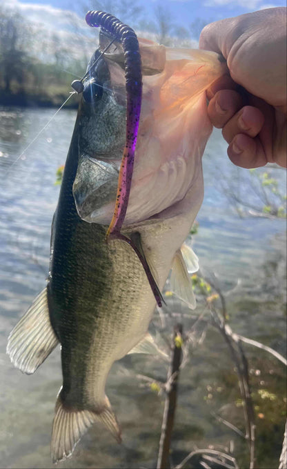 9" Ribbon Tail