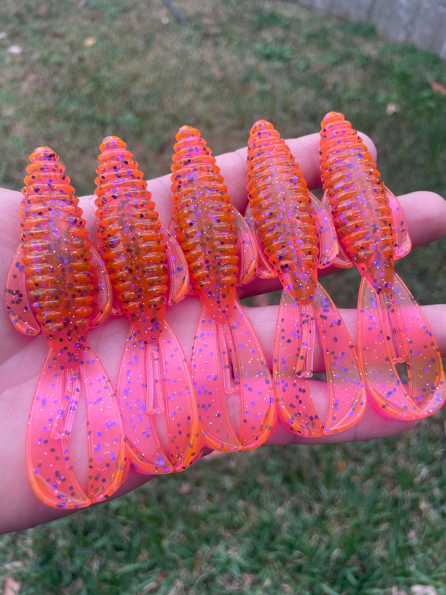 4" Bugs