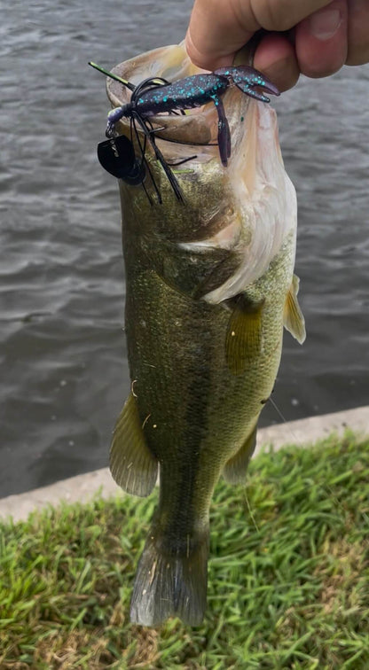 2.5" Ned Craw