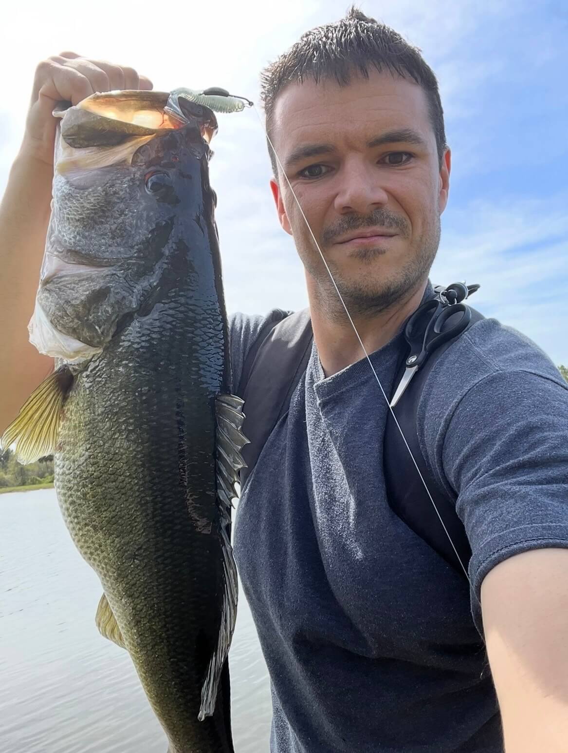 3.8" Paddle Tails