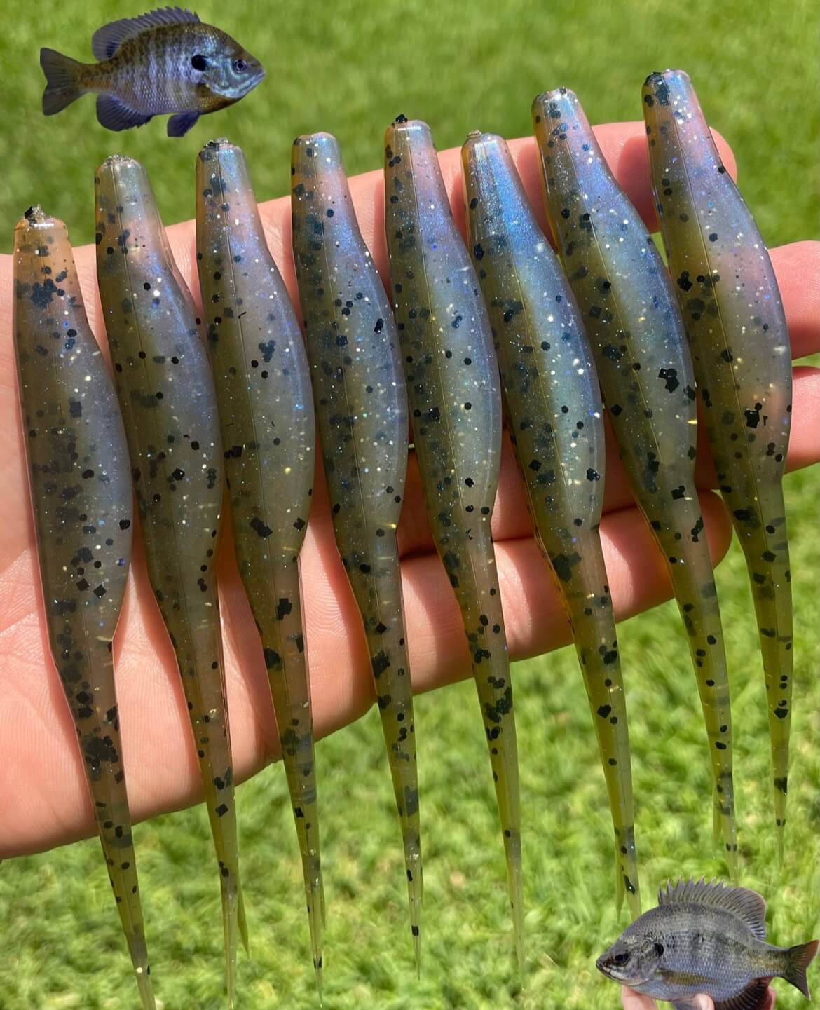 5" Flukes